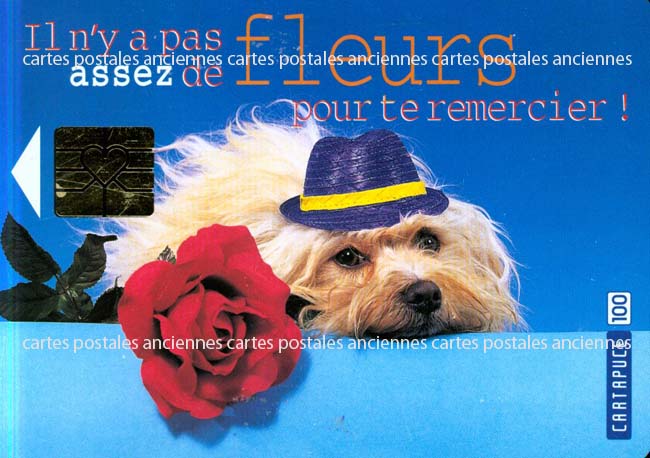 Cartes postales anciennes > CARTES POSTALES > carte postale ancienne > cartes-postales-ancienne.com Animaux