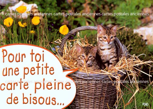 Cartes postales anciennes > CARTES POSTALES > carte postale ancienne > cartes-postales-ancienne.com Animaux