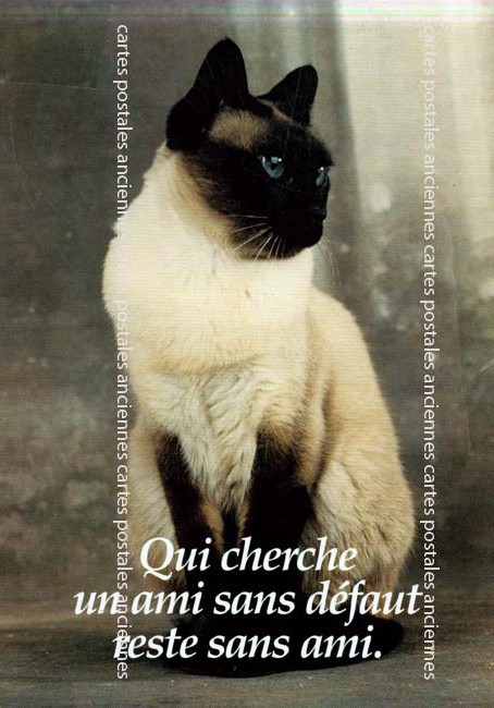 Cartes postales anciennes > CARTES POSTALES > carte postale ancienne > cartes-postales-ancienne.com Animaux