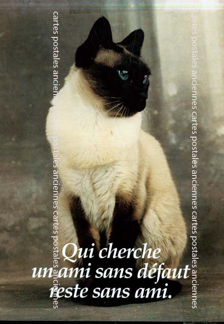 Cartes postales anciennes > CARTES POSTALES > carte postale ancienne > cartes-postales-ancienne.com Animaux