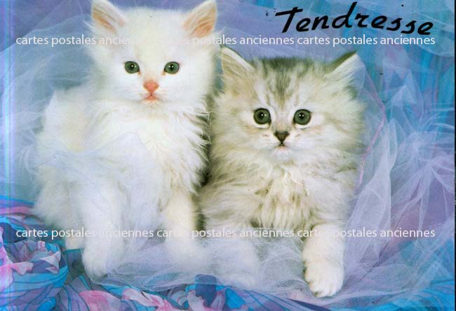 Cartes postales anciennes > CARTES POSTALES > carte postale ancienne > cartes-postales-ancienne.com Animaux