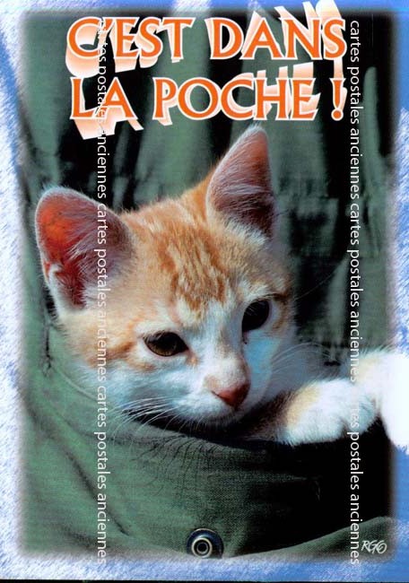 Cartes postales anciennes > CARTES POSTALES > carte postale ancienne > cartes-postales-ancienne.com Animaux