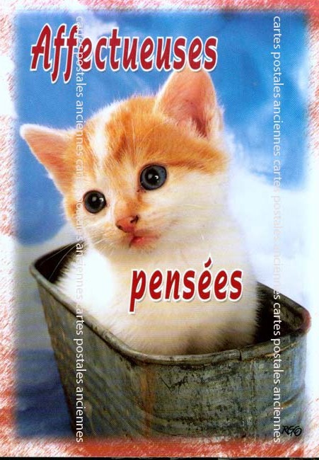 Cartes postales anciennes > CARTES POSTALES > carte postale ancienne > cartes-postales-ancienne.com Animaux