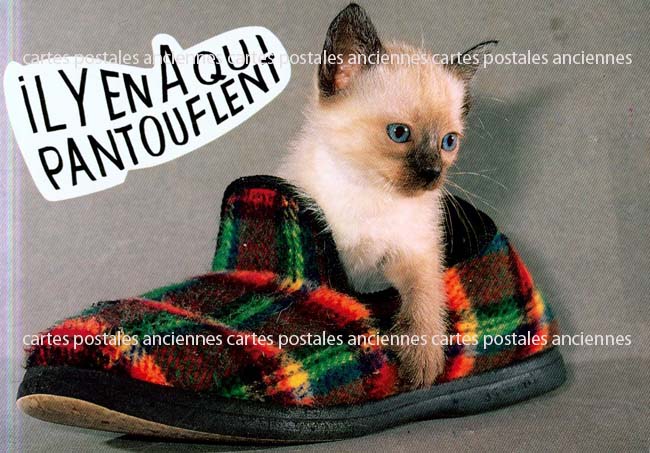 Cartes postales anciennes > CARTES POSTALES > carte postale ancienne > cartes-postales-ancienne.com Animaux