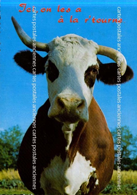 Cartes postales anciennes > CARTES POSTALES > carte postale ancienne > cartes-postales-ancienne.com Animaux