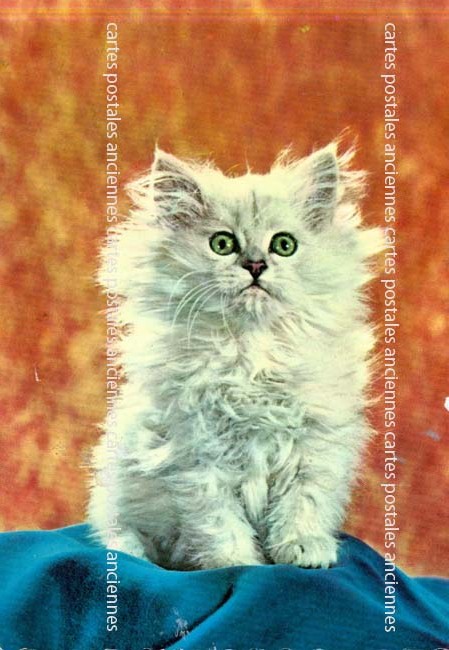 Cartes postales anciennes > CARTES POSTALES > carte postale ancienne > cartes-postales-ancienne.com Animaux