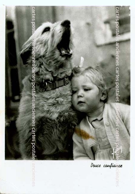 Cartes postales anciennes > CARTES POSTALES > carte postale ancienne > cartes-postales-ancienne.com Animaux