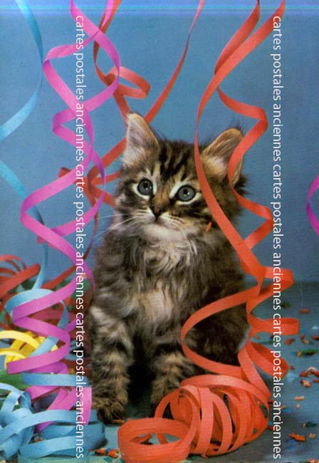 Cartes postales anciennes > CARTES POSTALES > carte postale ancienne > cartes-postales-ancienne.com Animaux