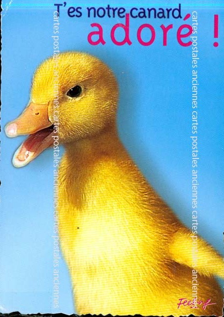 Cartes postales anciennes > CARTES POSTALES > carte postale ancienne > cartes-postales-ancienne.com Animaux