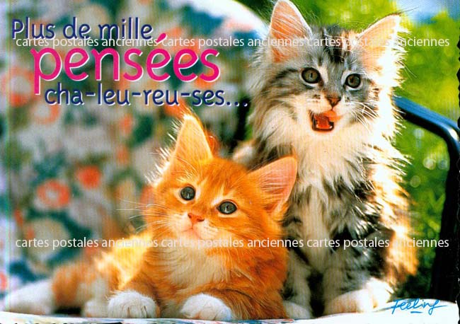 Cartes postales anciennes > CARTES POSTALES > carte postale ancienne > cartes-postales-ancienne.com Animaux