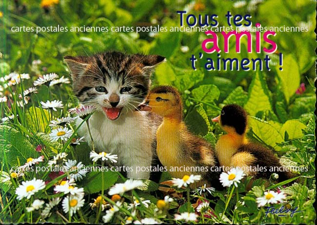 Cartes postales anciennes > CARTES POSTALES > carte postale ancienne > cartes-postales-ancienne.com Animaux