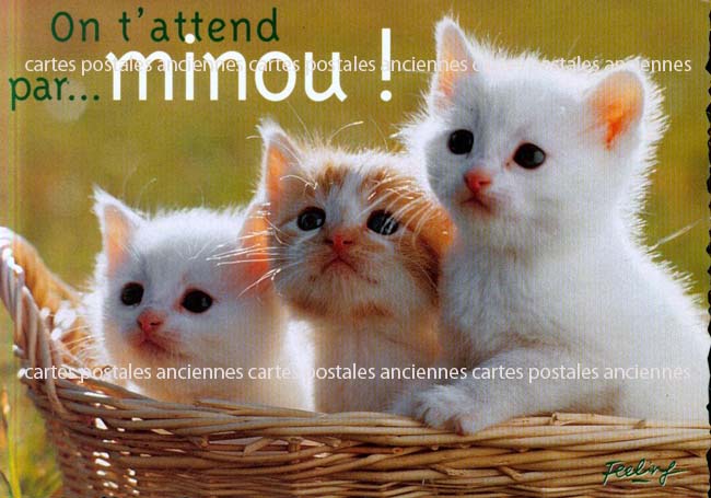 Cartes postales anciennes > CARTES POSTALES > carte postale ancienne > cartes-postales-ancienne.com Animaux