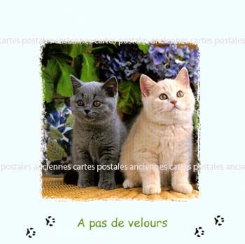 Cartes postales anciennes > CARTES POSTALES > carte postale ancienne > cartes-postales-ancienne.com Animaux