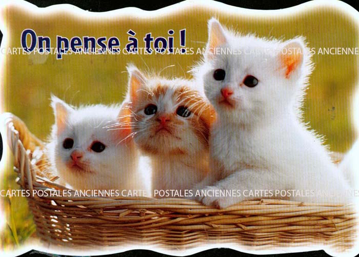 Cartes postales anciennes > CARTES POSTALES > carte postale ancienne > cartes-postales-ancienne.com Animaux