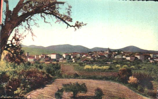 Cartes postales anciennes > CARTES POSTALES > carte postale ancienne > cartes-postales-ancienne.com Provence alpes cote d'azur Var Le Muy