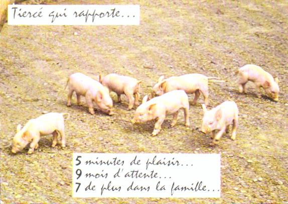Cartes postales anciennes > CARTES POSTALES > carte postale ancienne > cartes-postales-ancienne.com Animaux