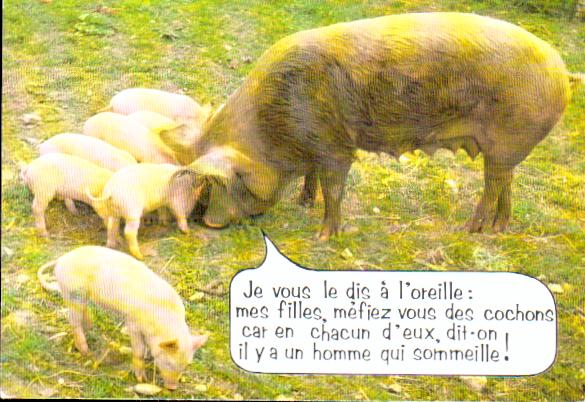 Cartes postales anciennes > CARTES POSTALES > carte postale ancienne > cartes-postales-ancienne.com Animaux