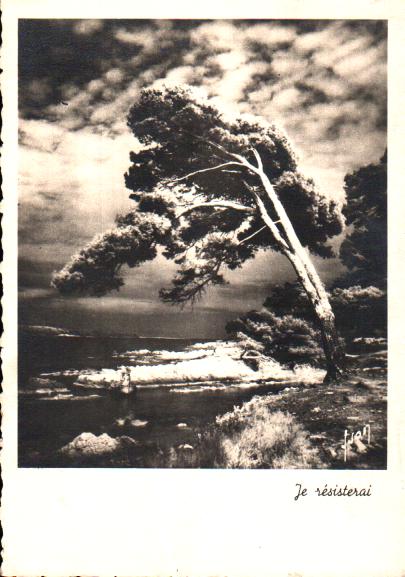 Cartes postales anciennes > CARTES POSTALES > carte postale ancienne > cartes-postales-ancienne.com Paysage