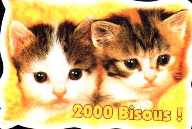 Animals