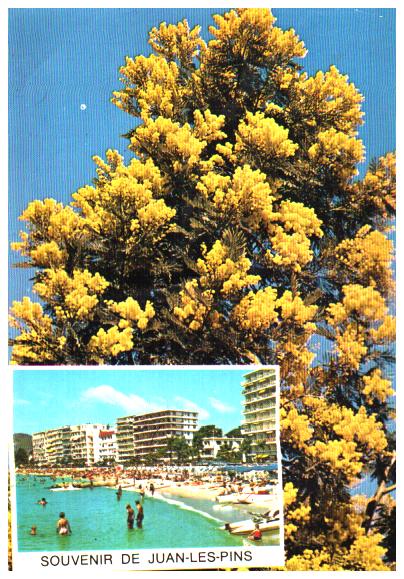 Cartes postales anciennes > CARTES POSTALES > carte postale ancienne > cartes-postales-ancienne.com Provence alpes cote d'azur Alpes maritimes Juan Les Pins