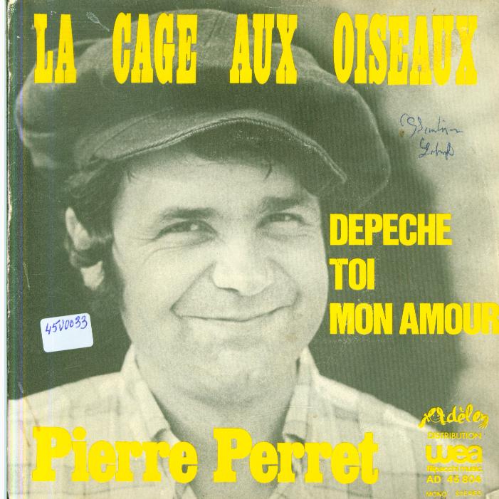 45 rpm vinyl records Pierre perret