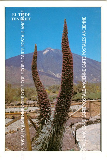 Cartes postales anciennes > CARTES POSTALES > carte postale ancienne > cartes-postales-ancienne.com Union europeenne Espagne