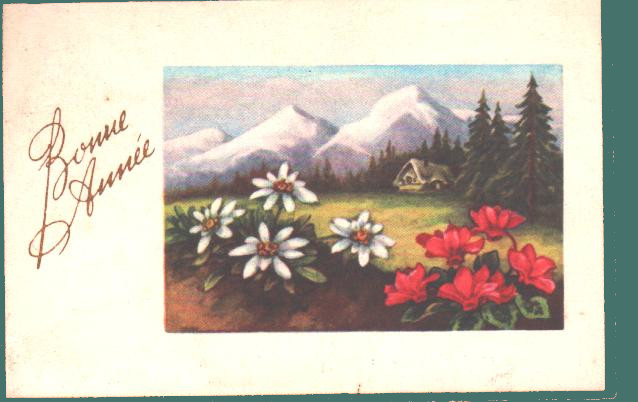 Cartes postales anciennes > CARTES POSTALES > carte postale ancienne > cartes-postales-ancienne.com Nouvelle annee