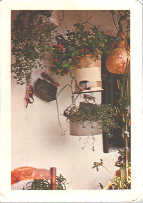 Cartes postales anciennes > CARTES POSTALES > carte postale ancienne > cartes-postales-ancienne.com Fleurs
