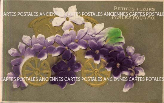 Theme  Flowers Dried flowers