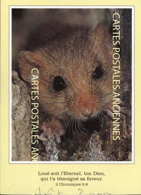 Cartes postales anciennes > CARTES POSTALES > carte postale ancienne > cartes-postales-ancienne.com Animaux
