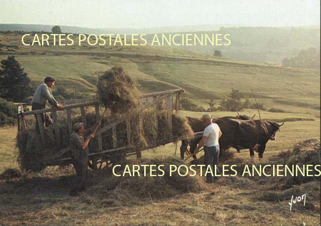 Cartes postales anciennes > CARTES POSTALES > carte postale ancienne > cartes-postales-ancienne.com Metiers