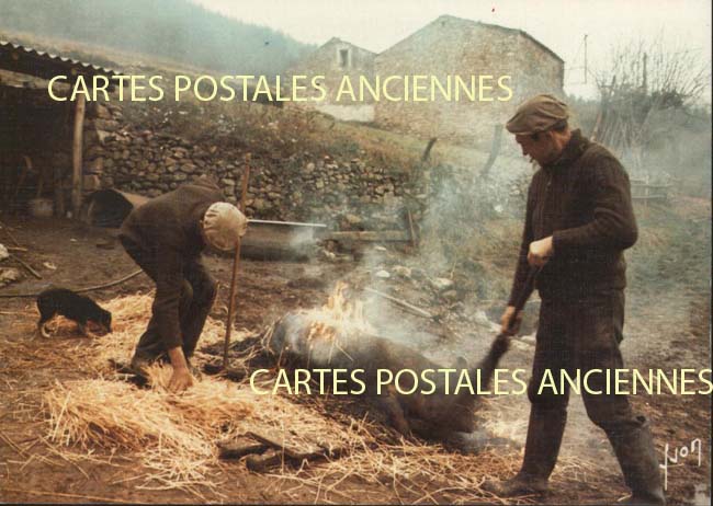 Cartes postales anciennes > CARTES POSTALES > carte postale ancienne > cartes-postales-ancienne.com Metiers
