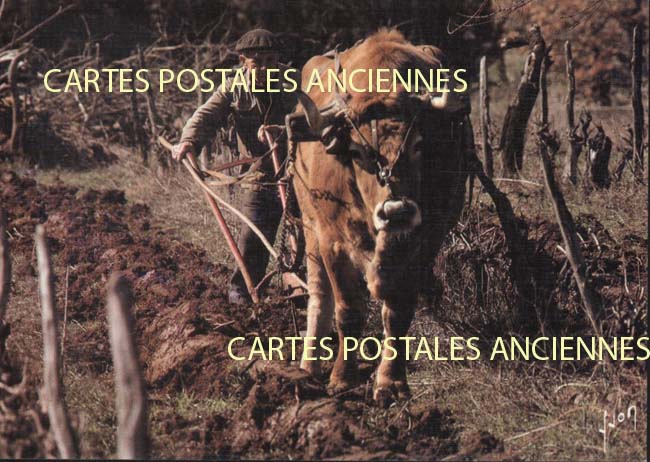 Cartes postales anciennes > CARTES POSTALES > carte postale ancienne > cartes-postales-ancienne.com Metiers