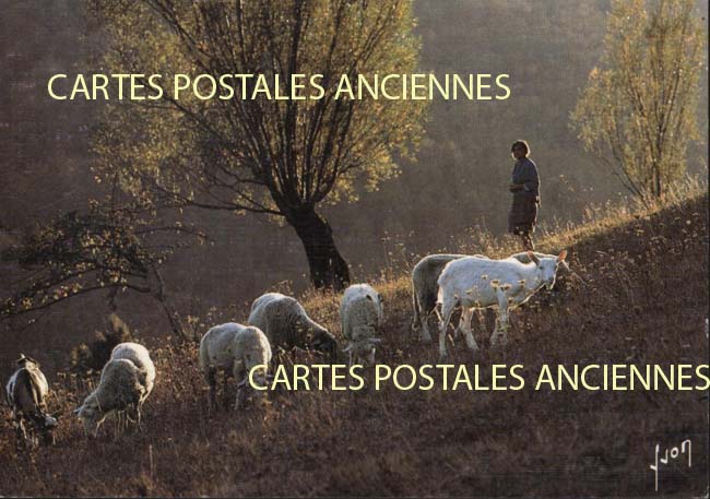 Cartes postales anciennes > CARTES POSTALES > carte postale ancienne > cartes-postales-ancienne.com Metiers