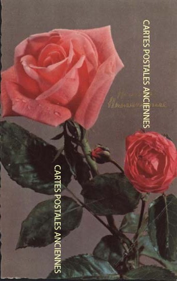 Cartes postales anciennes > CARTES POSTALES > carte postale ancienne > cartes-postales-ancienne.com Fleurs