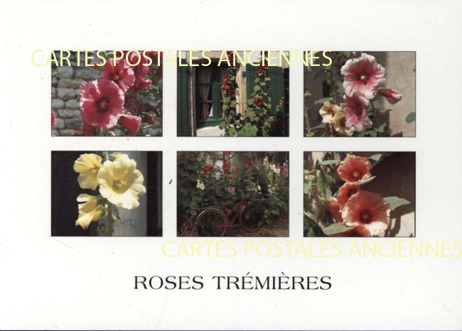 Cartes postales anciennes > CARTES POSTALES > carte postale ancienne > cartes-postales-ancienne.com Fleurs
