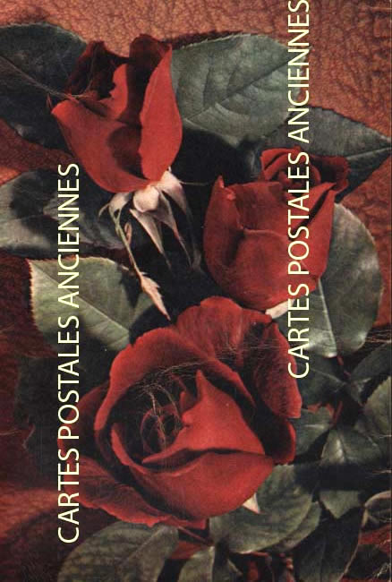 Cartes postales anciennes > CARTES POSTALES > carte postale ancienne > cartes-postales-ancienne.com Fleurs