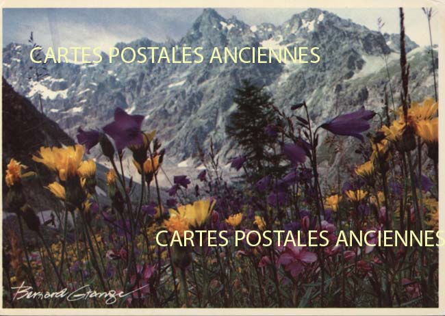 Cartes postales anciennes > CARTES POSTALES > carte postale ancienne > cartes-postales-ancienne.com Fleurs