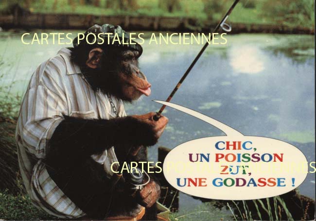 Cartes postales anciennes > CARTES POSTALES > carte postale ancienne > cartes-postales-ancienne.com Humour