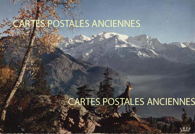 Cartes postales anciennes > CARTES POSTALES > carte postale ancienne > cartes-postales-ancienne.com Paysage
