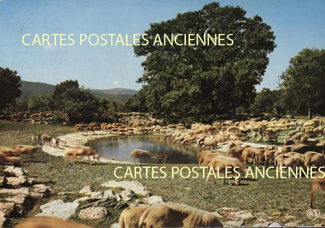 Cartes postales anciennes > CARTES POSTALES > carte postale ancienne > cartes-postales-ancienne.com Paysage