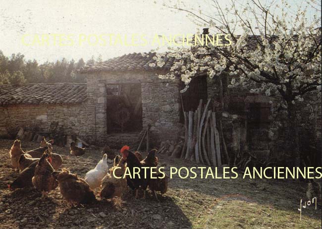 Cartes postales anciennes > CARTES POSTALES > carte postale ancienne > cartes-postales-ancienne.com Paysage