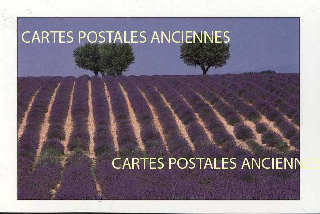 Cartes postales anciennes > CARTES POSTALES > carte postale ancienne > cartes-postales-ancienne.com Paysage
