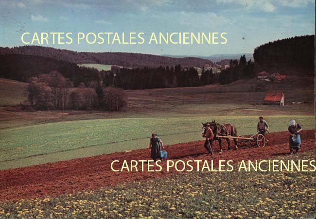 Cartes postales anciennes > CARTES POSTALES > carte postale ancienne > cartes-postales-ancienne.com Paysage