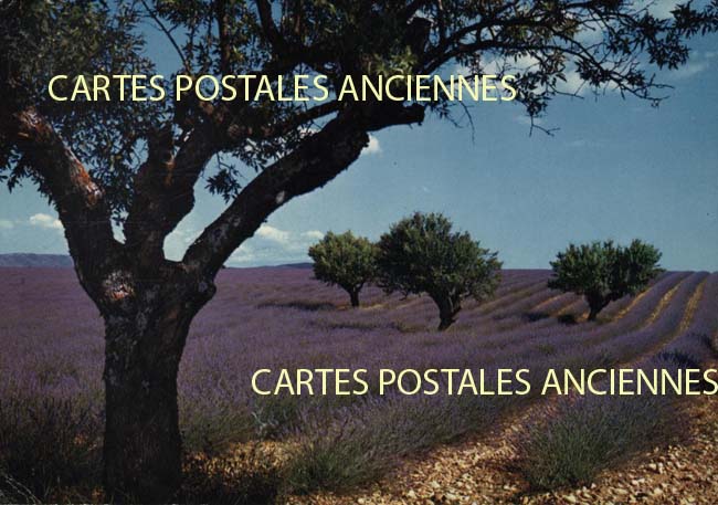 Cartes postales anciennes > CARTES POSTALES > carte postale ancienne > cartes-postales-ancienne.com Paysage