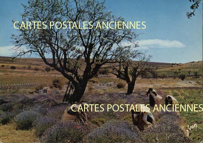 Cartes postales anciennes > CARTES POSTALES > carte postale ancienne > cartes-postales-ancienne.com Paysage