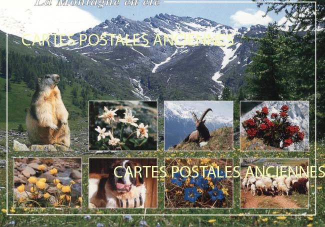 Cartes postales anciennes > CARTES POSTALES > carte postale ancienne > cartes-postales-ancienne.com Paysage