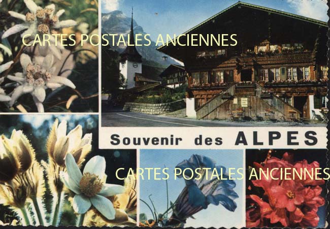 Cartes postales anciennes > CARTES POSTALES > carte postale ancienne > cartes-postales-ancienne.com Paysage