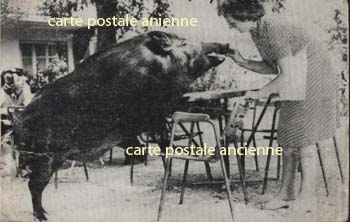 Restaurants
