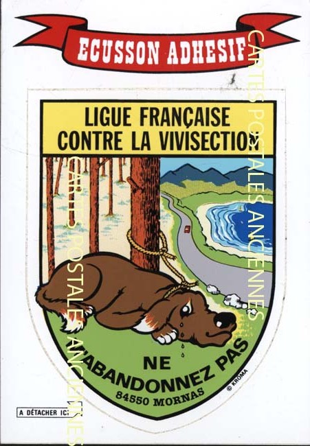 Ecusson